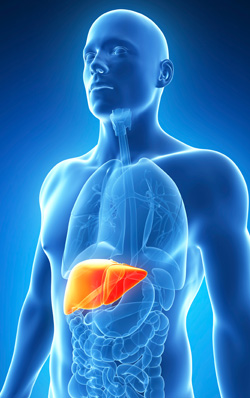 Hepatitis-The Silent Killer